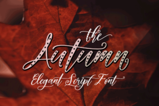 Autumn Font: A Modern Calligraphy Typeface for Thoughtful Design