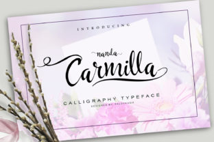 Carmilla Review: A Modern Calligraphy Font for Campaign Visuals