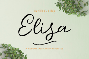 Elisa: A Playful Script Typeface for Editorial Design