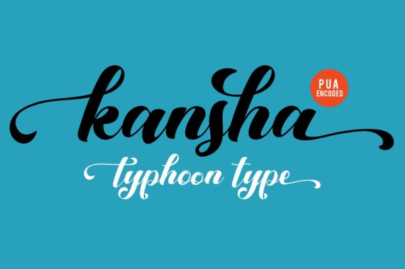 Kansha: A Designer’s Review for Real-World Use