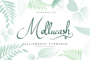 Mollucash: A Hand-Drawn Script Font Built for Scroll-Stopping Marketing Content