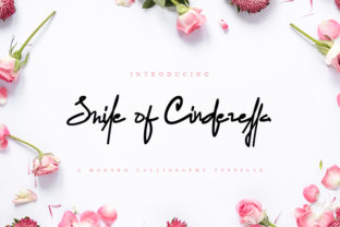 Smile of Cinderella: A Script Font That Elevates Campaigns
