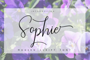 Sophie: A Calligraphy Typeface for Elegant Web Design